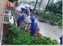 ��ɽ���ńP�����(xi��ng)Ŀ�׃��@�ػ�̎������